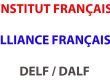 instituto frances