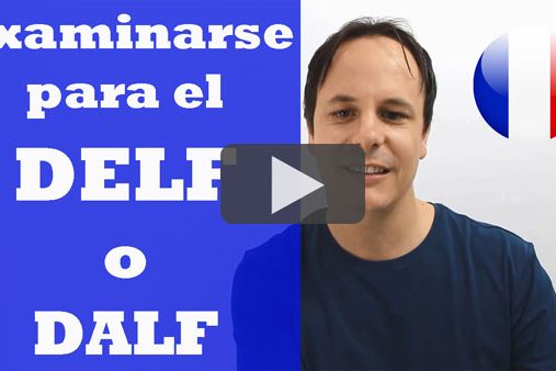 delf-miniature-blog delf
